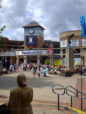 Picture of woking peacocks shopping centre